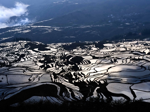 红河梯田