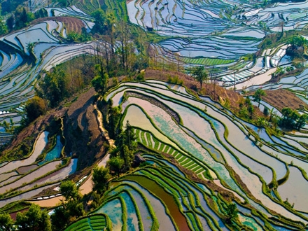 绿春梯田